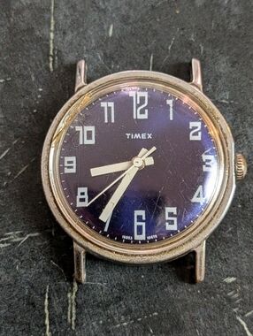 Timex Blue Dial Analog Watch Head with White Numerals